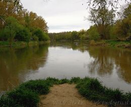 CHKO Soutok život nenabourá, ujišťuje Grolich. Myslivce znepokojuje vidina národního parku