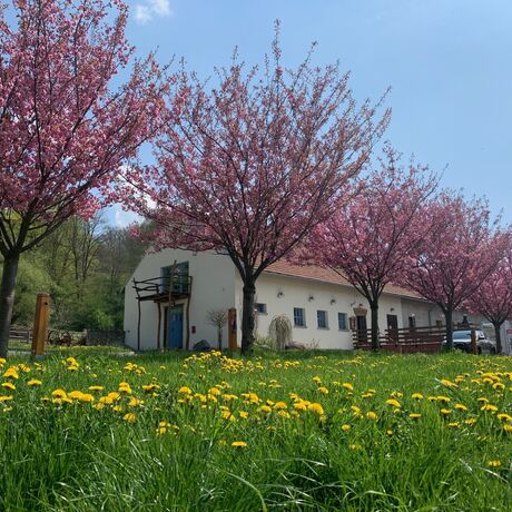 Biofarma Františkov