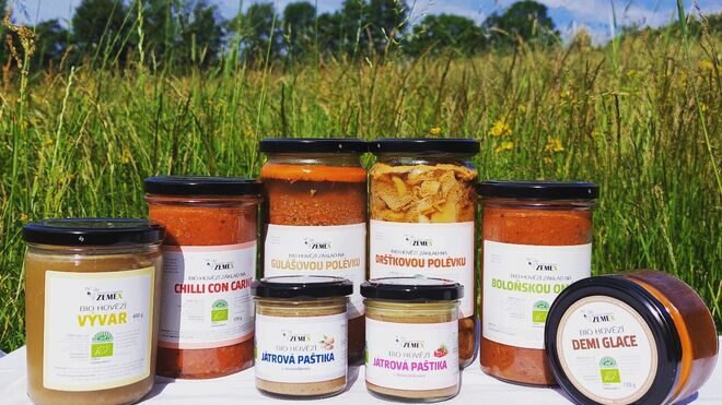 Rodinná společnost Zemex