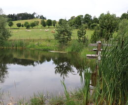 Jan Heřmánek z organizace Team4Ukraine podporuje program ASZ ČR Pestrá krajina 