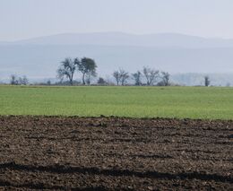 Zdravá půda – náš odkaz dalším generacím III