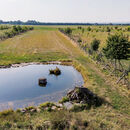 Pestrá krajina 2025 – pozvánka na konferenci a vyhlášení výsledků