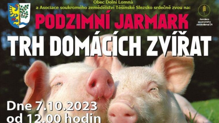 XV. Euroregionální jarmark v Dolní Lomné