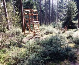 Myslivostudržitelně.cz: Škody způsobené zvěří – opravdu „jen“ desítky milionů?