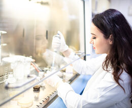 Laktobacily mohou usnadnit kompostování gastroodpadu, zjistili vědci