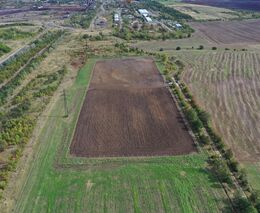 Pěstování plodin může pomoci v obnově vytěžené krajiny a zúrodnění nerekultivovaných ploch 