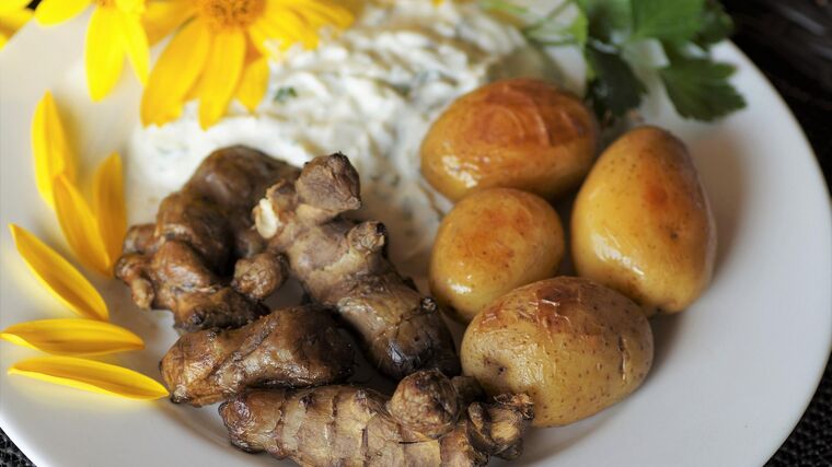 Co je to za divnou bramboru? Farma Oleško v zimě sklízí oblíbené topinambury