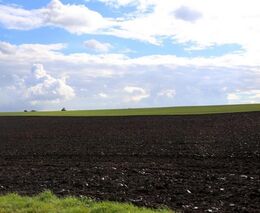 Společnost PGRLF, a.s., otevírá od 1. ledna 2023 program Podpora nákupu půdy