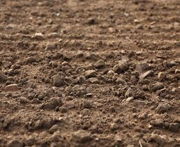 Společnost PGRLF, a.s. otevírá nový program  Podpora nákupu půdy