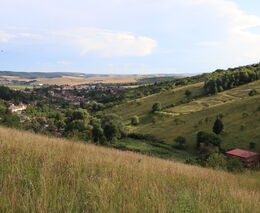 Odborný seminář 13.4.2022 - Portál AGRORISK jako součást Integrované ochrany rostlin