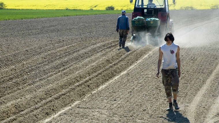 OSVČ je nenahraditelným planktonem v podnikatelském moři - navyšovat jí odvody se společnosti vymstí