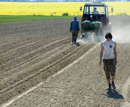 OSVČ je nenahraditelným planktonem v podnikatelském moři - navyšovat jí odvody se společnosti vymstí