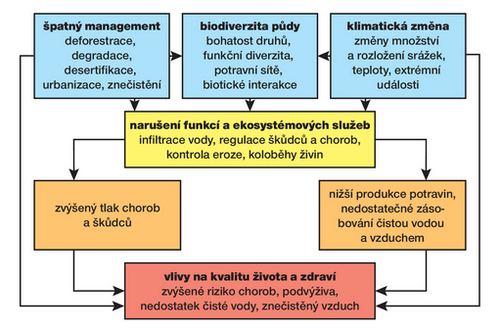 Obrázek 3
