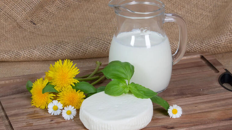 Představujeme čtyři nové nositele značky BESKYDY originální produkt