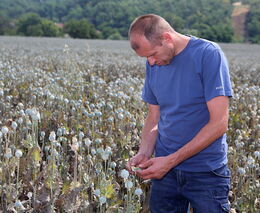 Farma Markových: 30 druhů plodin a intercropping