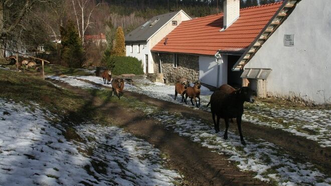 Turistatek Javořice