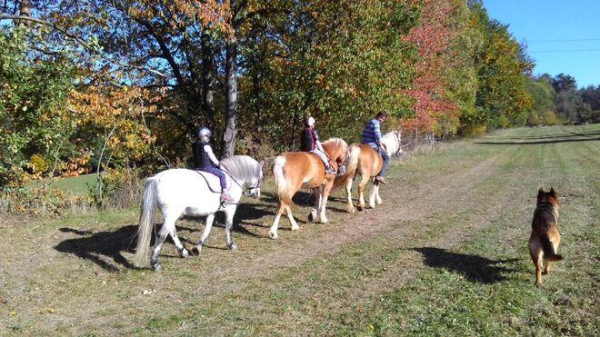 Ubytování U Krausíků