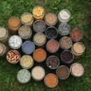 Tady se dělá menu pro závodní holuby. Farma našla způsob, jak přežít sucha