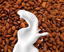 Petice požaduje zařazení rostlinných alternativ mléka do školního stravování