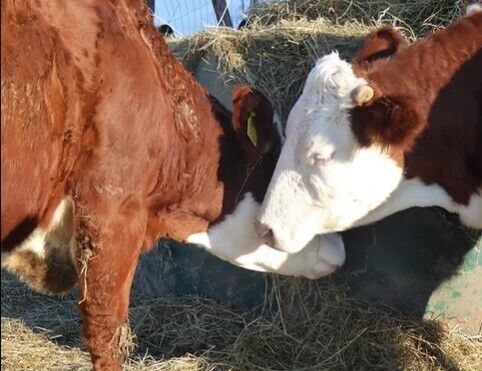 Naše hospodářství