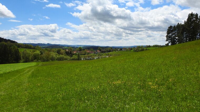 Bezmála 2,6 miliardy korun poskytne SZIF na ošetřování travních porostů