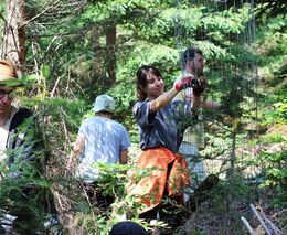 Z monokultur k rozmanitosti: Dobrovolníci mění tvář českých lesů již 28 let