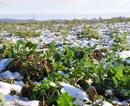 2. ročník Konference Živá krajina: Událost věnovaná zdravé půdě