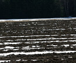 Zdravá půda – náš odkaz dalším generacím I
