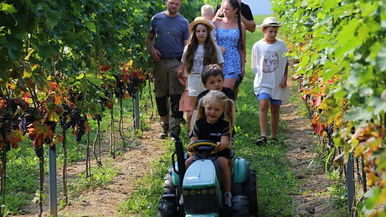 FR 2025: Nominační a čtyřminutové videoklipy představující jednotlivé farmy