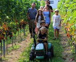 FR 2025: Nominační a čtyřminutové videoklipy představující jednotlivé farmy