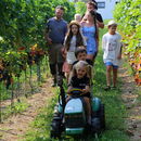 FR 2025: Nominační a čtyřminutové videoklipy představující jednotlivé farmy