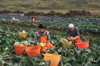 Gunnar Þorgeirsson: vyrábět více jídla a zároveň si nezkazit životní prostředí je u nás možné
