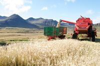 Gunnar Þorgeirsson: vyrábět více jídla a zároveň si nezkazit životní prostředí je u nás možné