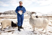 Gunnar Þorgeirsson: vyrábět více jídla a zároveň si nezkazit životní prostředí je u nás možné