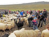 Gunnar Þorgeirsson: vyrábět více jídla a zároveň si nezkazit životní prostředí je u nás možné