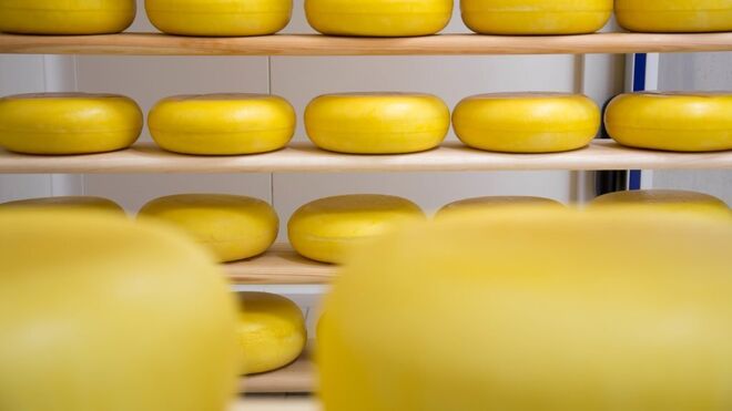 Statek Horní Dvorce