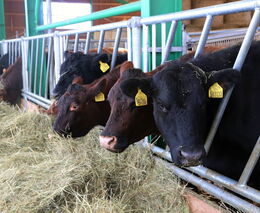 Fiala bude s komorami jednat o rostoucích nákladech zemědělců a potravinářů