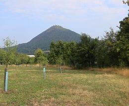 Daniel Pitek: Kolegové zemědělci, doufejte ve změnu strategického plánu