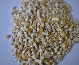 Kukuřičné klíčky