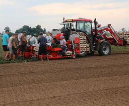 Sezonní pracovníci v ovocnářství a zelinářství zřejmě získají slevu na pojistném 
