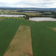 ODS, Piráti a ASZ ČR: Předkupní právo na zemědělskou půdu zvýhodní velké agropodniky