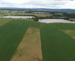 Matěj Pomahač: Na jaře už nezaseju. O zemědělství a fotovoltaice