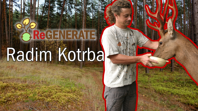 ReGENERATE: Radim Kotrba o agrolesnictví – propojení stromů, půdy a ekonomiky farmy