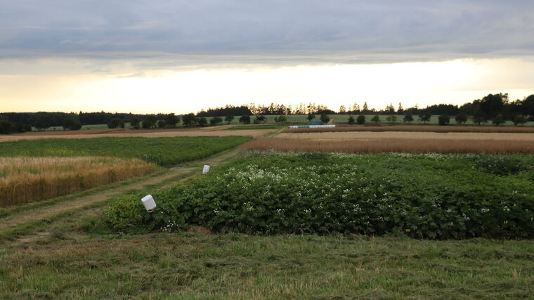 Den otevřených dveří na farmě Václava Velety