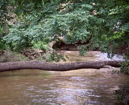 Živelní pohromy jsou ničivější kvůli změně klimatu, říká nová studie
