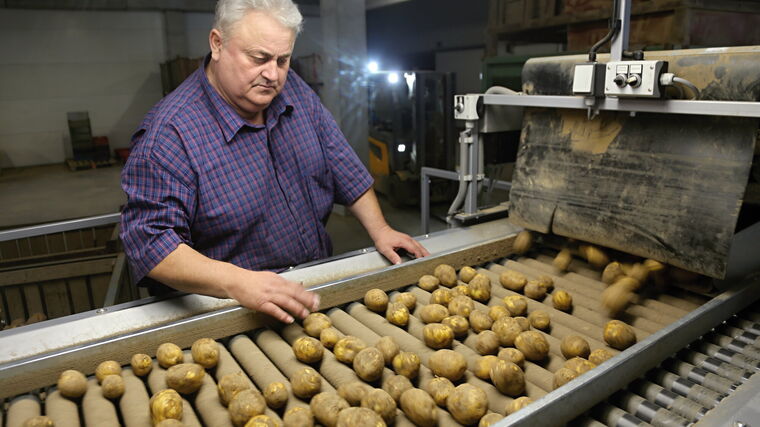 Už i na pěstování brambor dopadá změna klimatu, říká farmář roku z Chlebovic