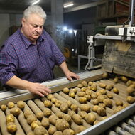 Už i na pěstování brambor dopadá změna klimatu, říká farmář roku z Chlebovic
