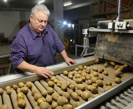Už i na pěstování brambor dopadá změna klimatu, říká farmář roku z Chlebovic