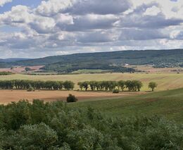Pozvánka na seminář: „Obnova krajinné mozaiky v zemědělské krajině“