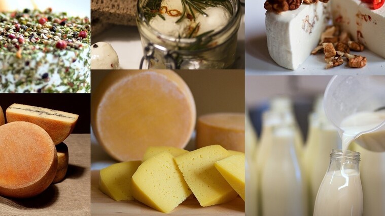 Den lokální produkce